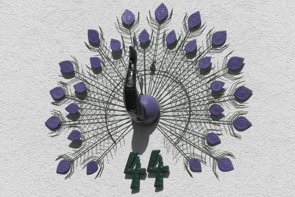 Samstag ist Zahl Tag