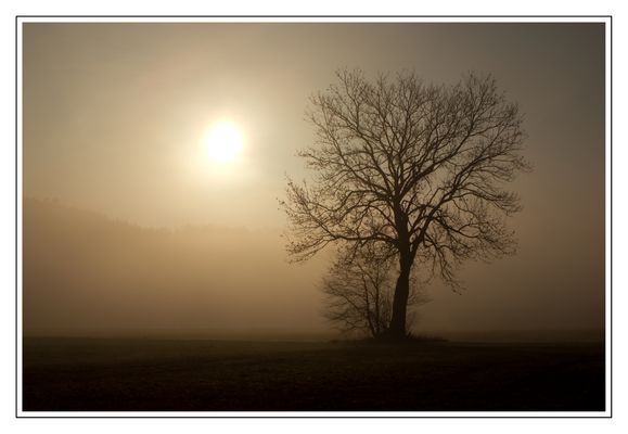 Samstag morgen 3.3.2012