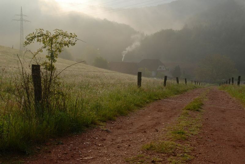 Samstag morgen am Bärenbrunnerhof