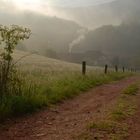 Samstag morgen am Bärenbrunnerhof