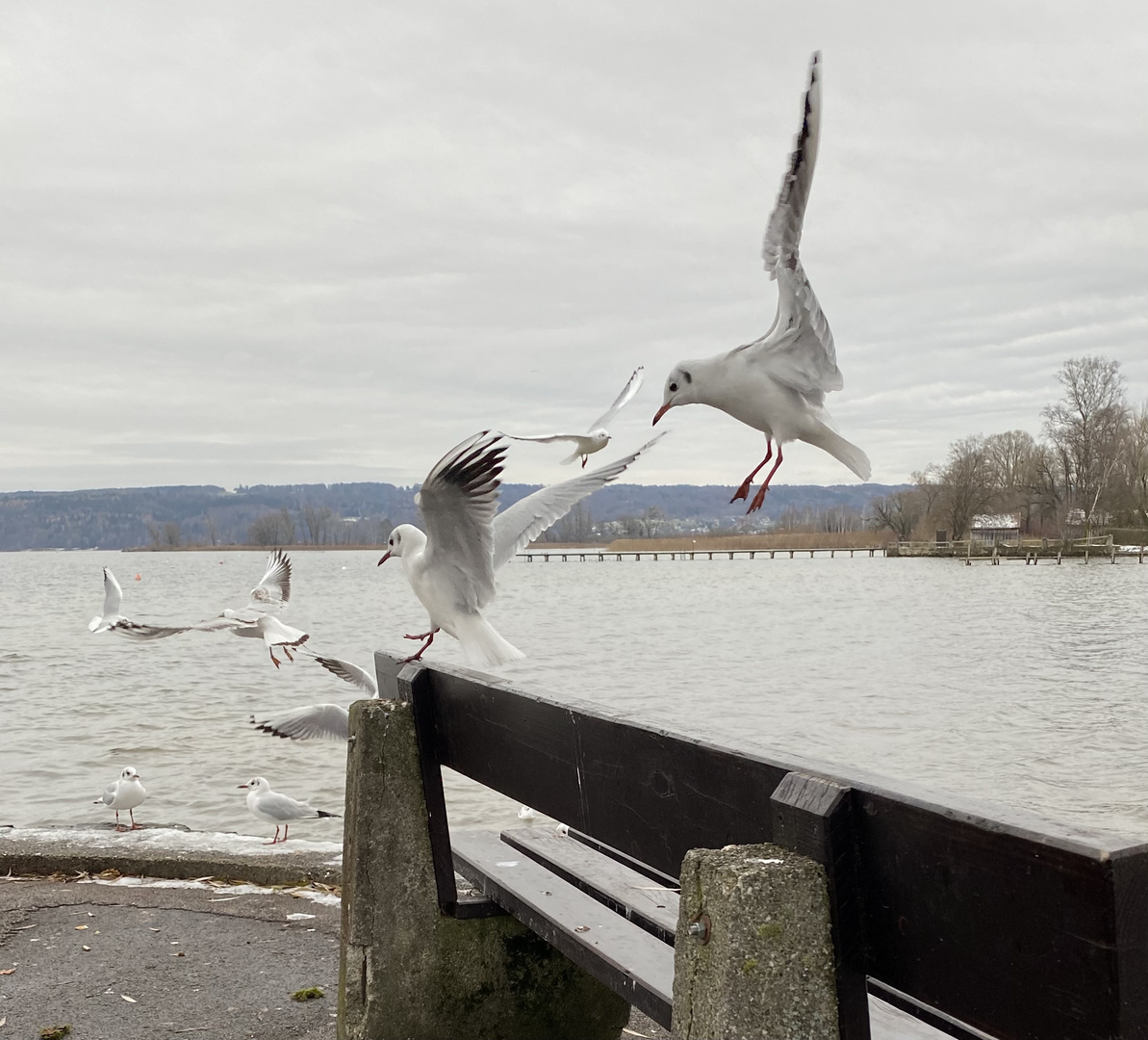 Samstag Morgen am See