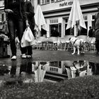 Samstag Morgen auf dem Marktplatz