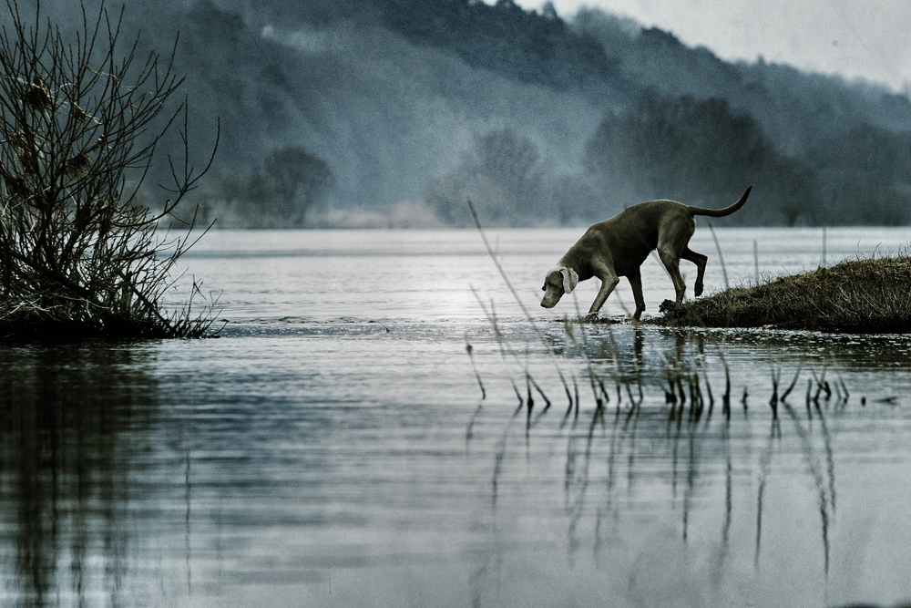 Samstagabend am Fluss ....