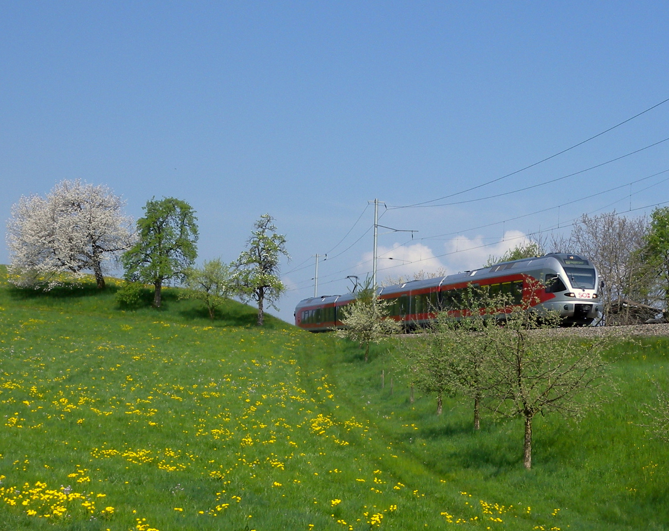 Samstagern im Frühling / en la primavera / au printemps..02