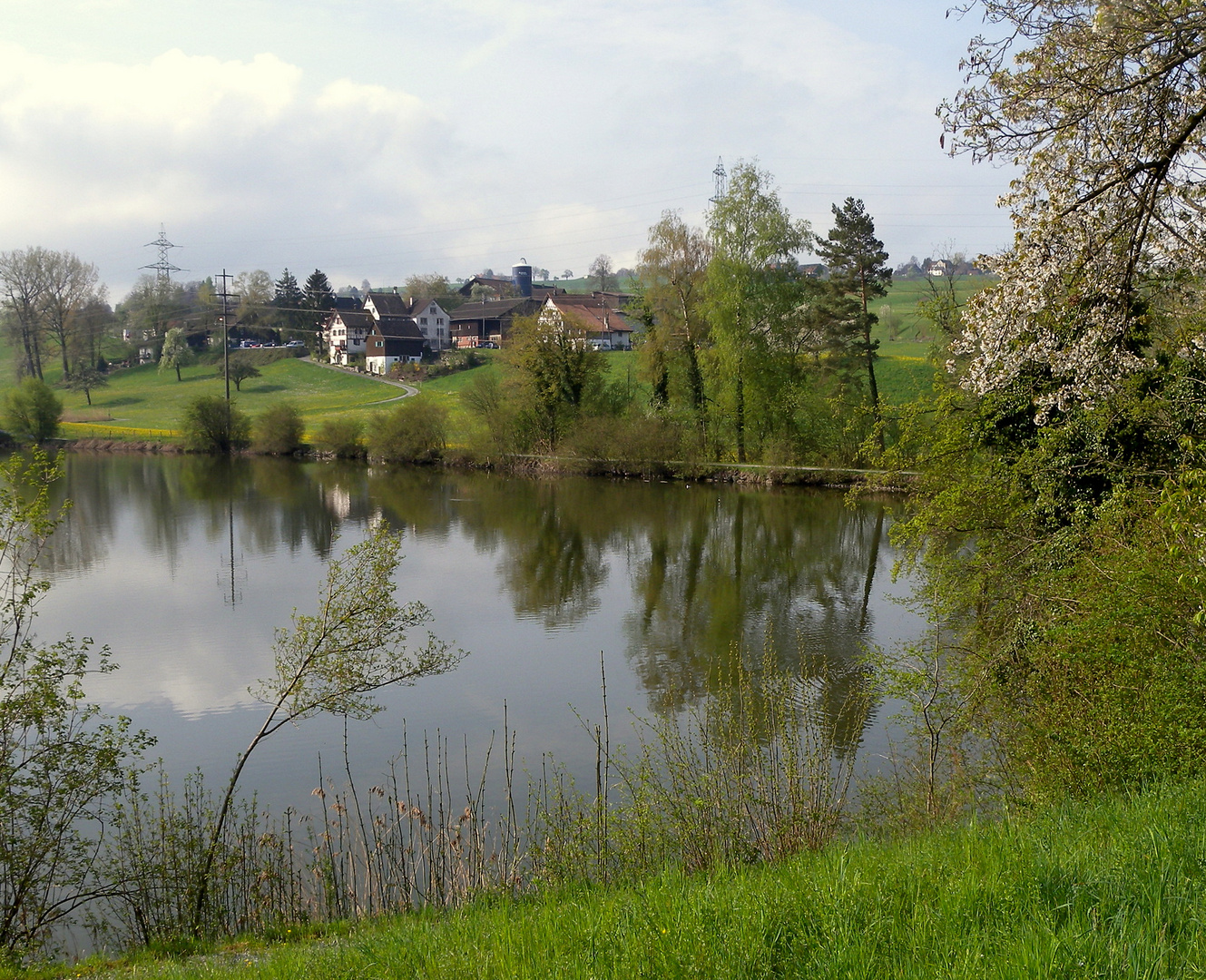 Samstagern im Frühling / en la primavera / au printemps..04