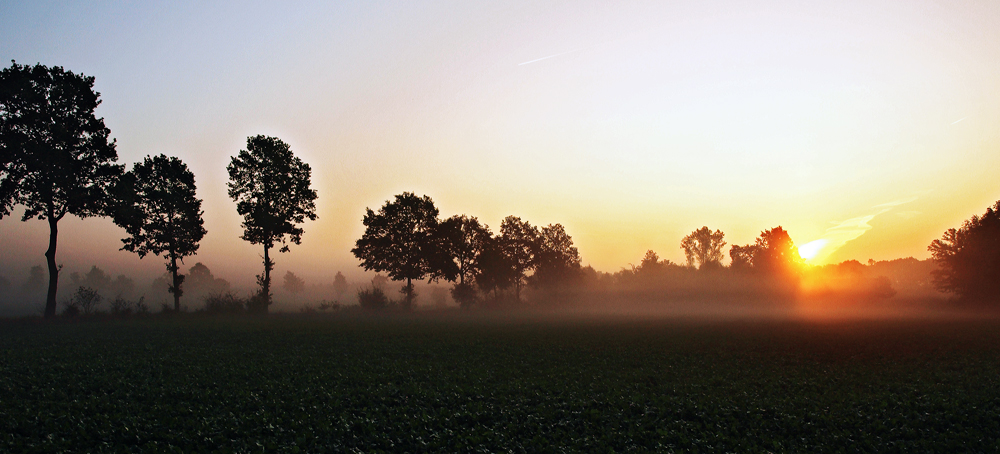 Samstagmorgen