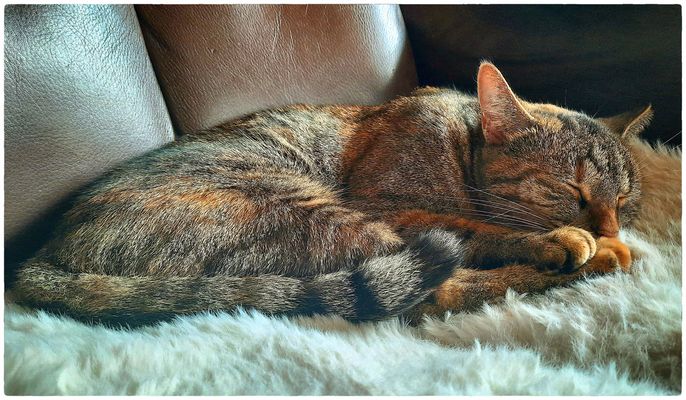 Samstags Gemütlichkeit