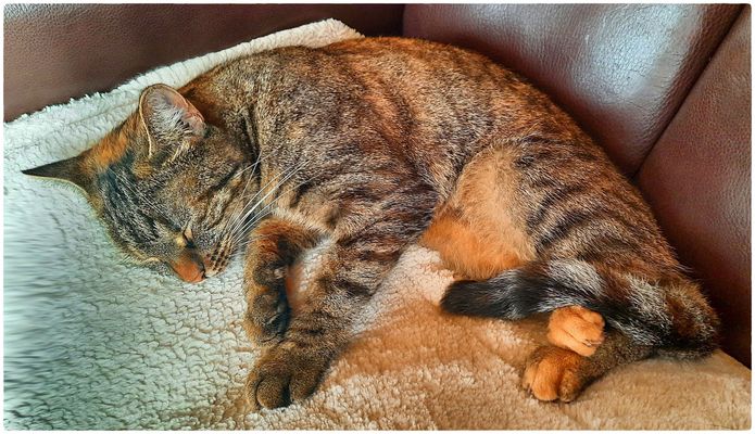 Samstags Gemütlichkeit