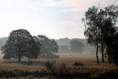 Samstags in der Frühe