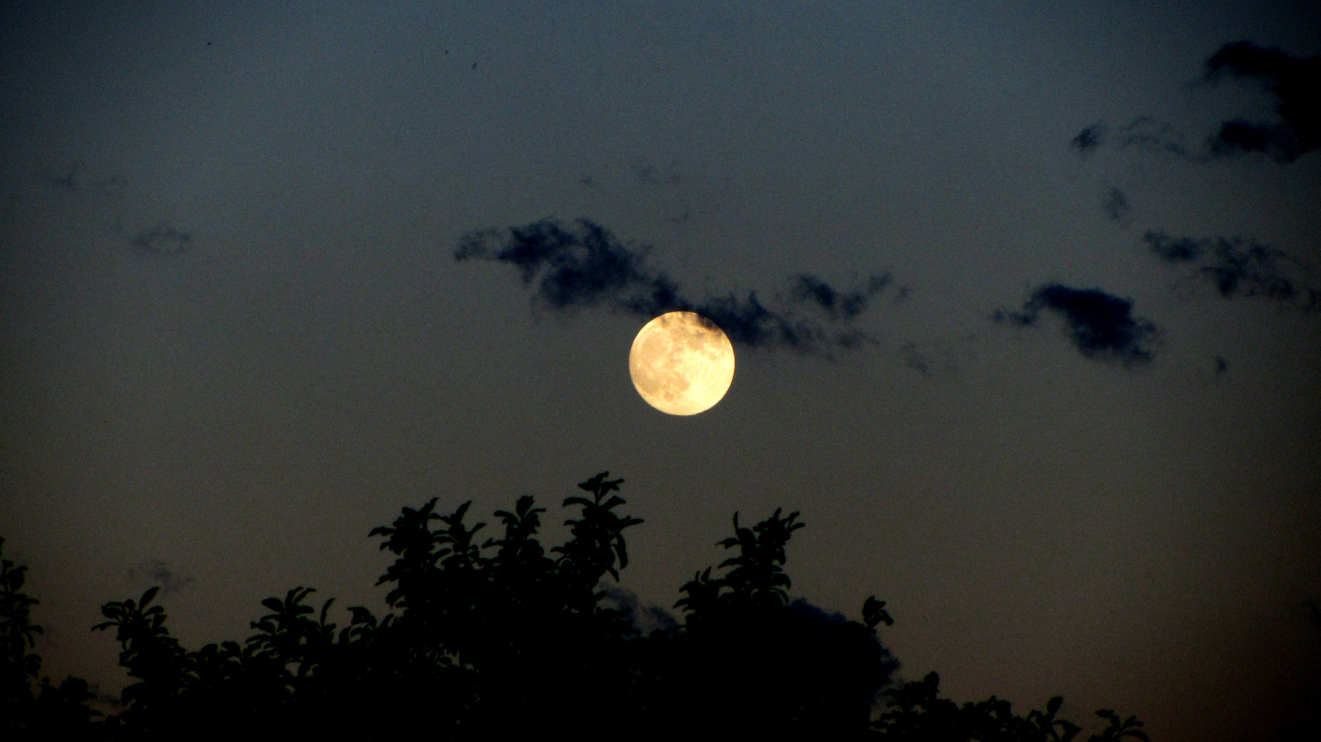 Samstags um 21.30 Uhr - der Mond