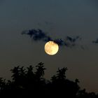 Samstags um 21.30 Uhr - der Mond