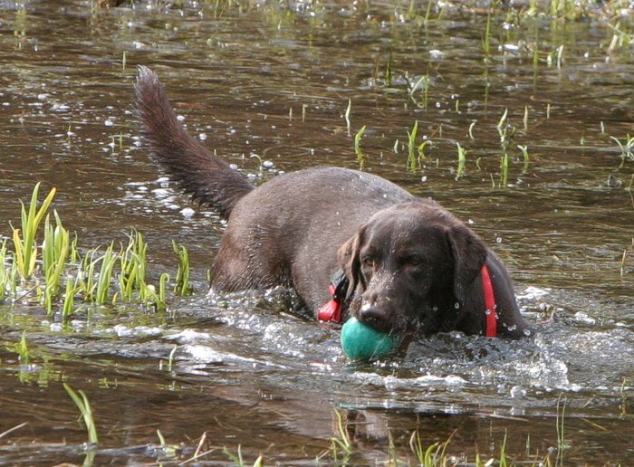 Samstags wird gebadet!