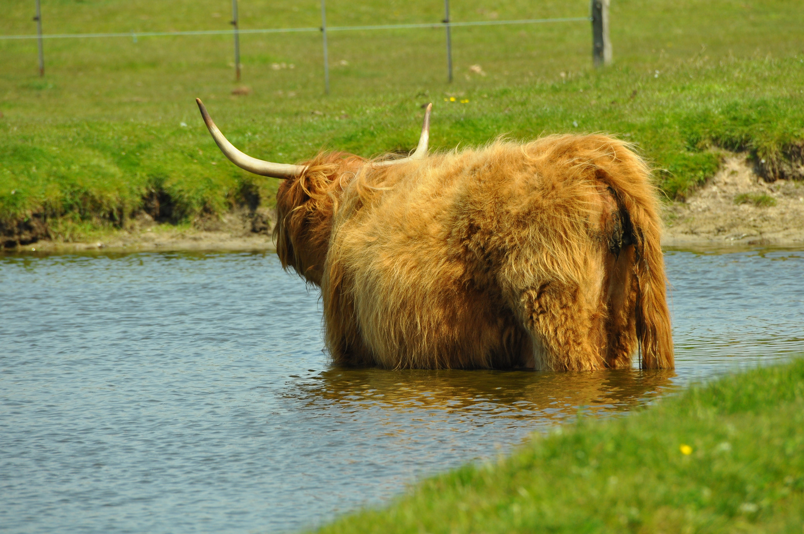 Samstags wird gebadet