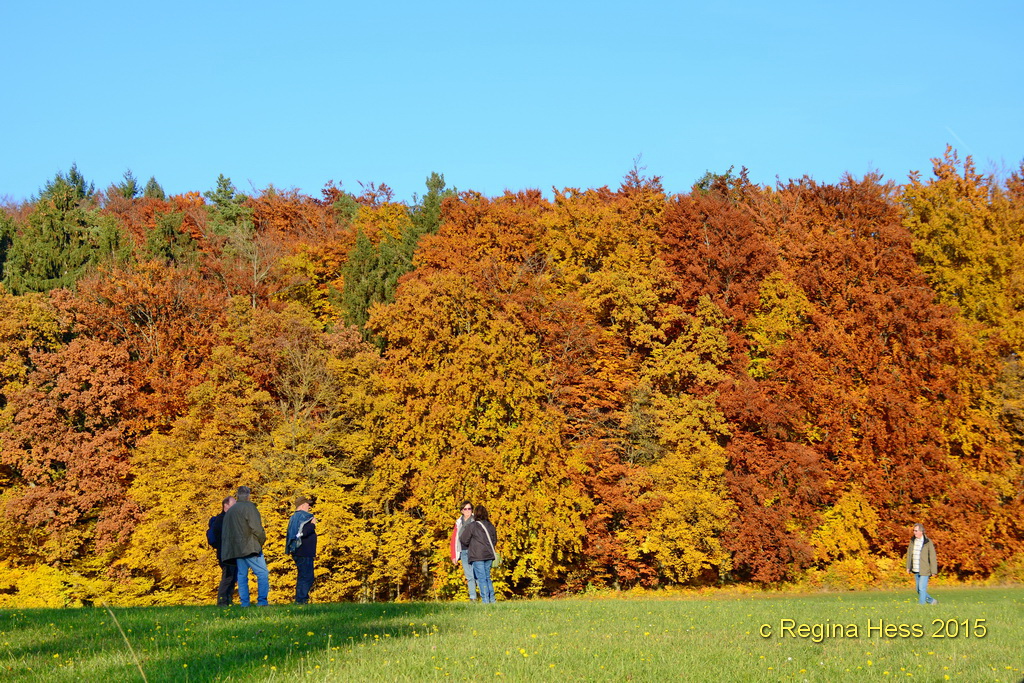 .......Samstagsspaziergang.......