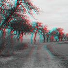 Samstagsspaziergang in 3D