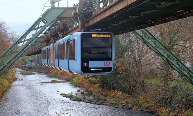 Samstag=Zahl Tag-(15.11.2025)