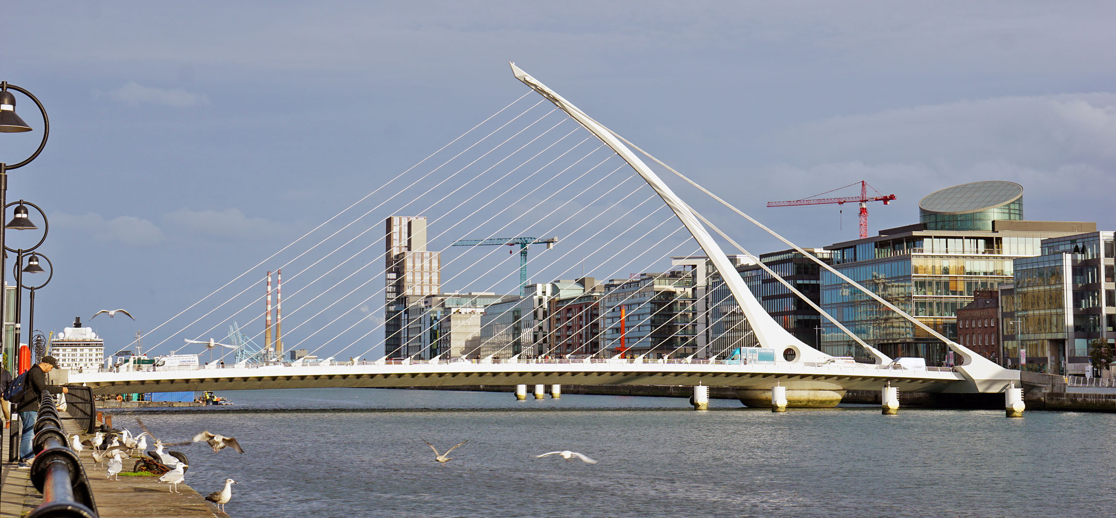 Samuel Beckett Bridge