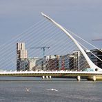 Samuel Beckett Bridge