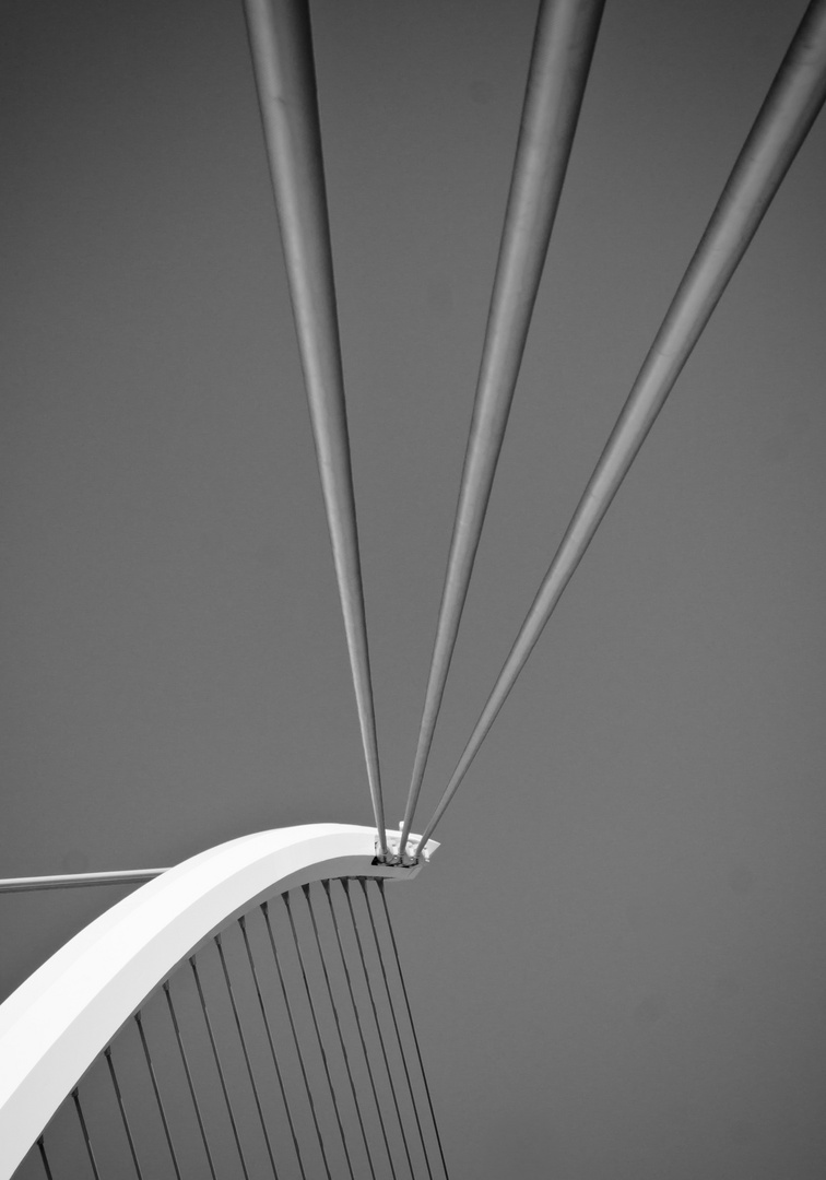 Samuel Beckett Bridge