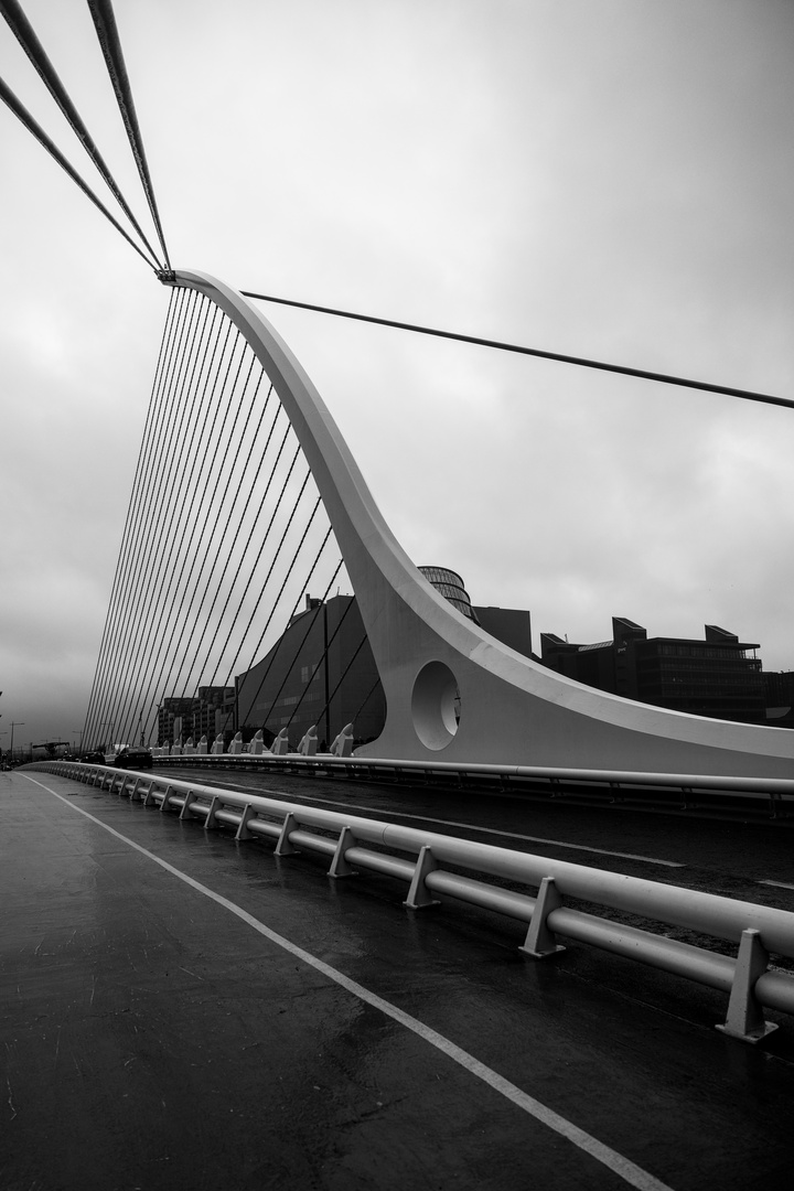 Samuel Beckett Bridge