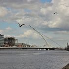 Samuel Beckett Bridge - Dublin