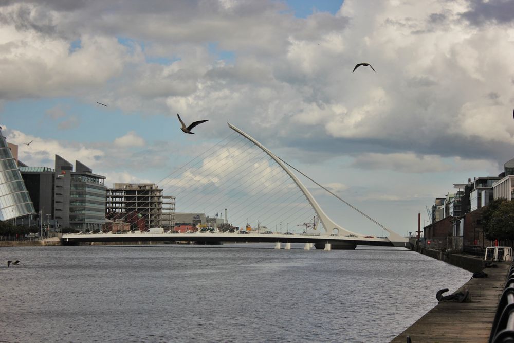 Samuel Beckett Bridge - Dublin