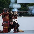 Samurai in Himeji