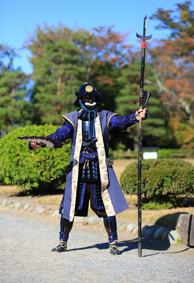 Samurai Krieger