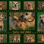 Samy + Aska