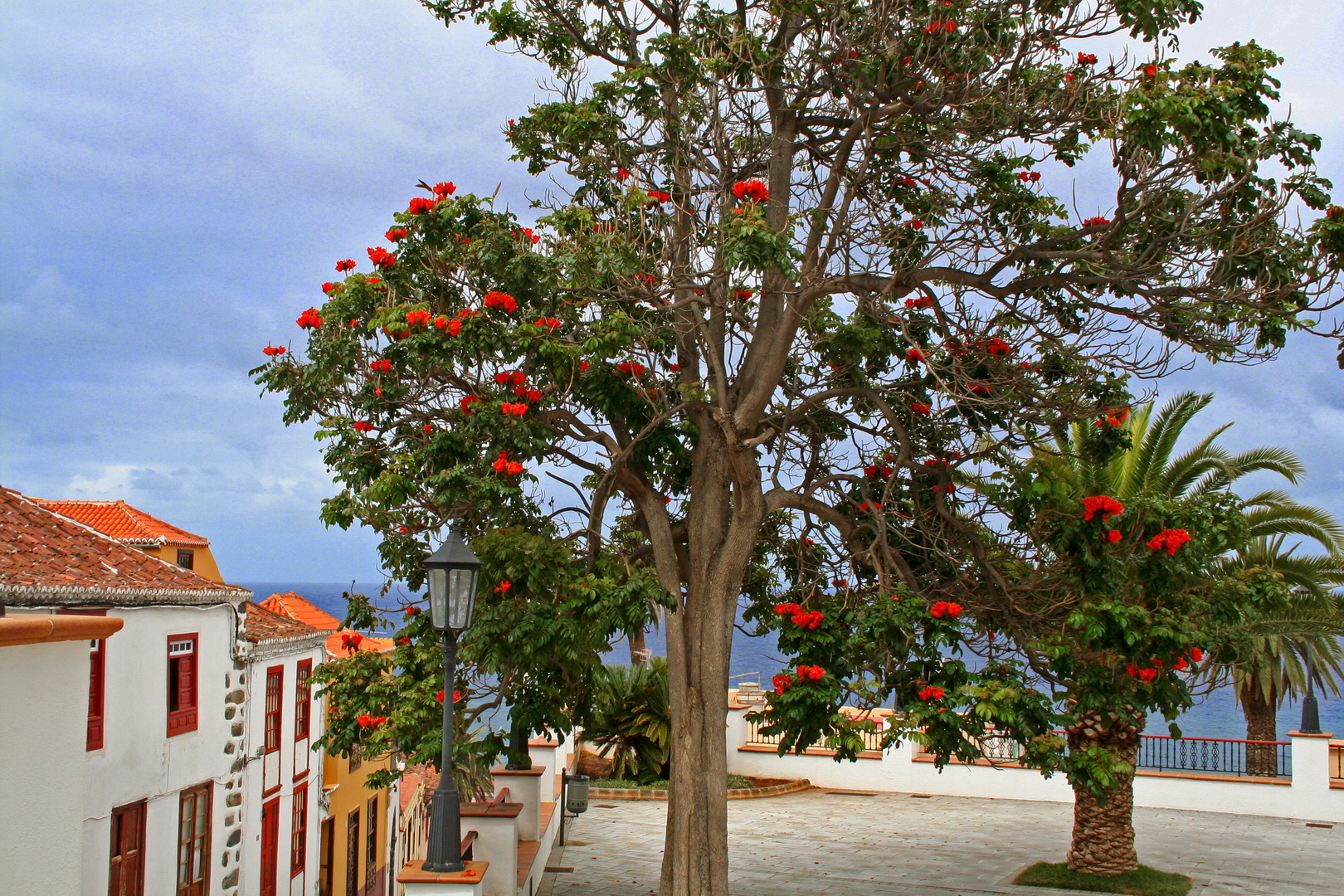 San Andrés - 2013 (5)