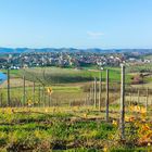 San Damiano D'Asti e la sua campagna