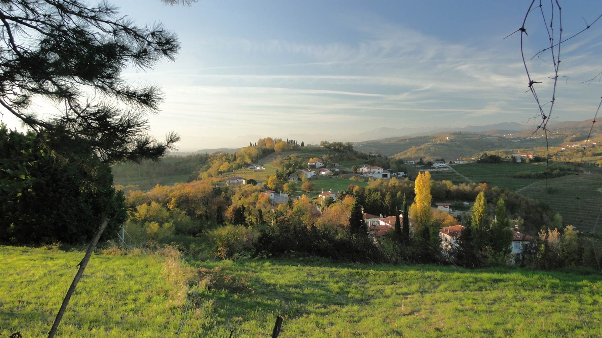 San Floriano del collio (2)