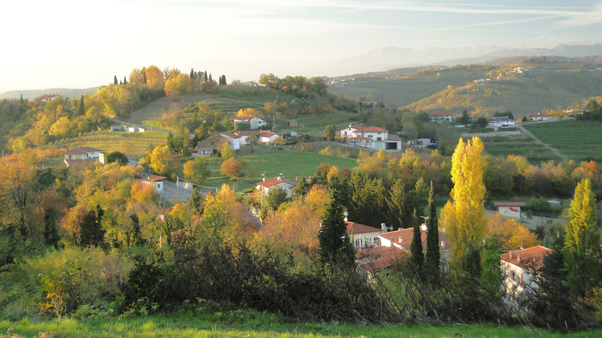 San Floriano del collio (3)