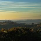 San Floriano del collio (4)