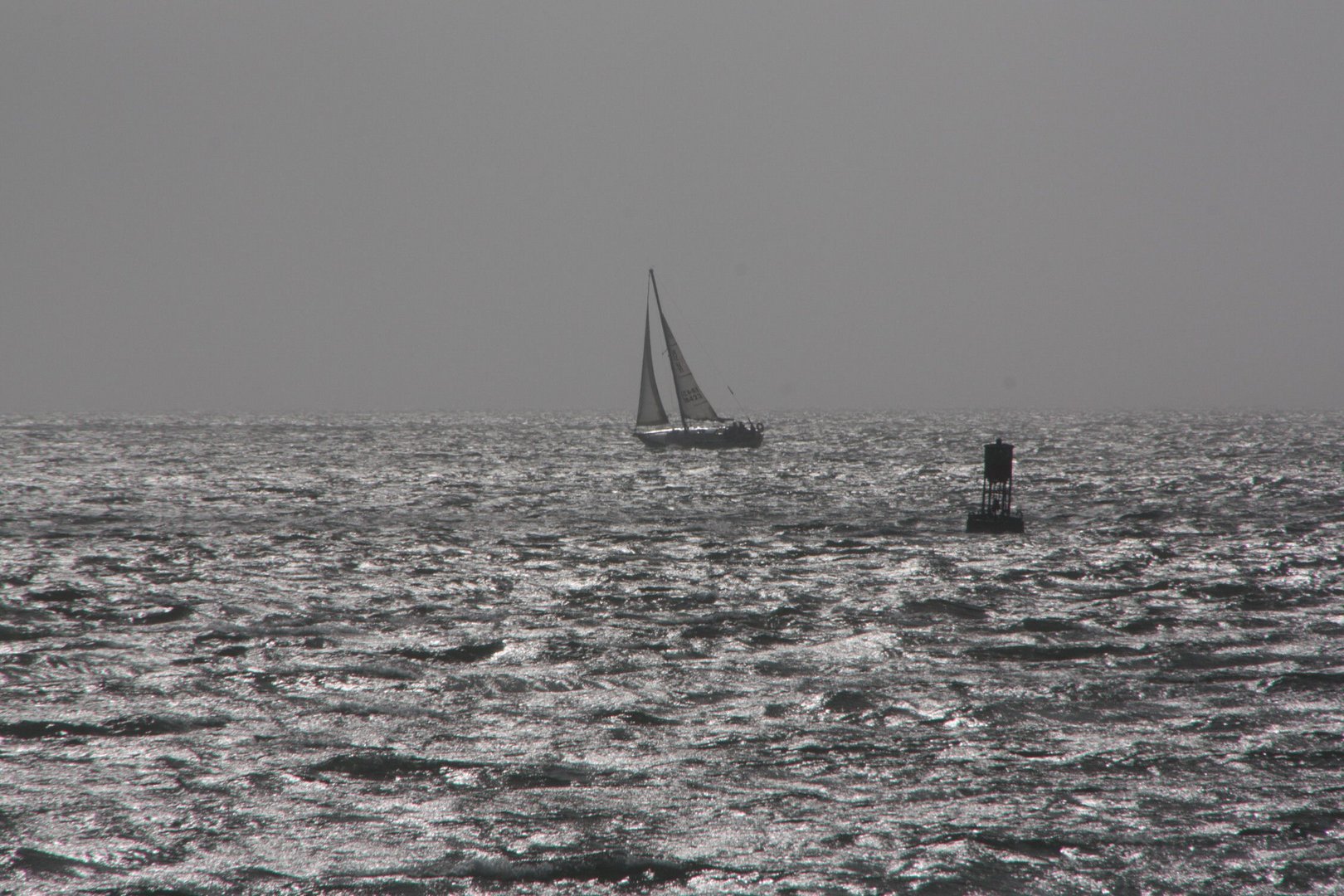 San Francisco Bay, Back light