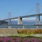 San Francisco Bay-Bridge (west span)