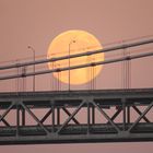 San Francisco Bay Brige