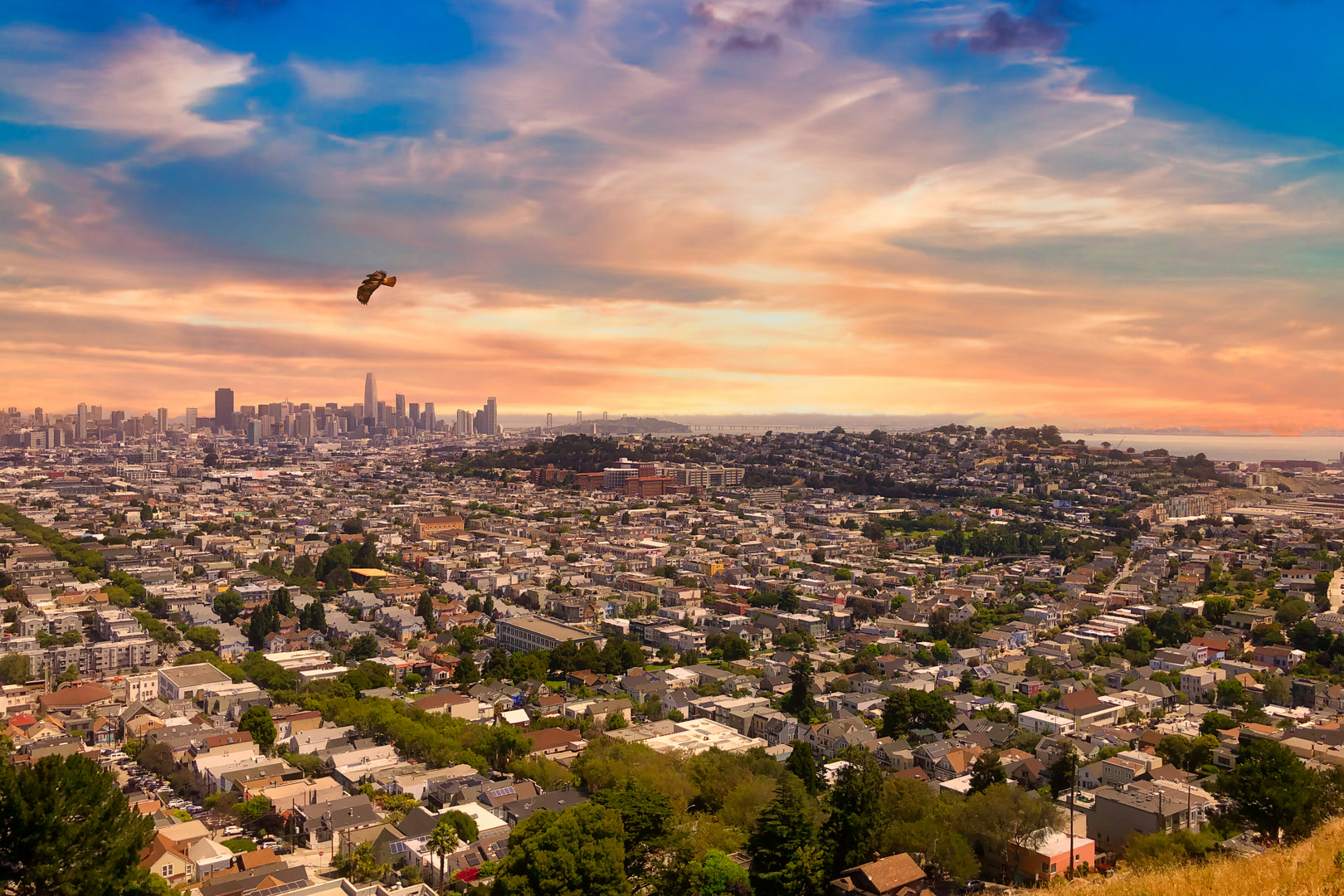 SAN FRANCISCO - BERNAL HEIGHTS PARK