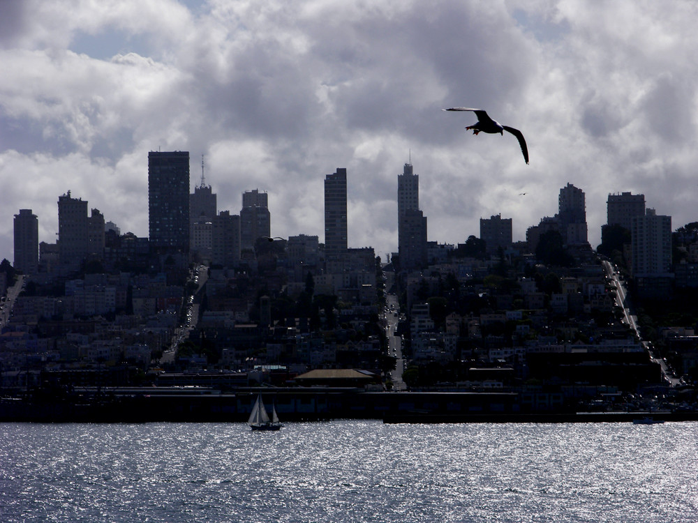 San francisco from Alcatraz