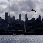 San francisco from Alcatraz