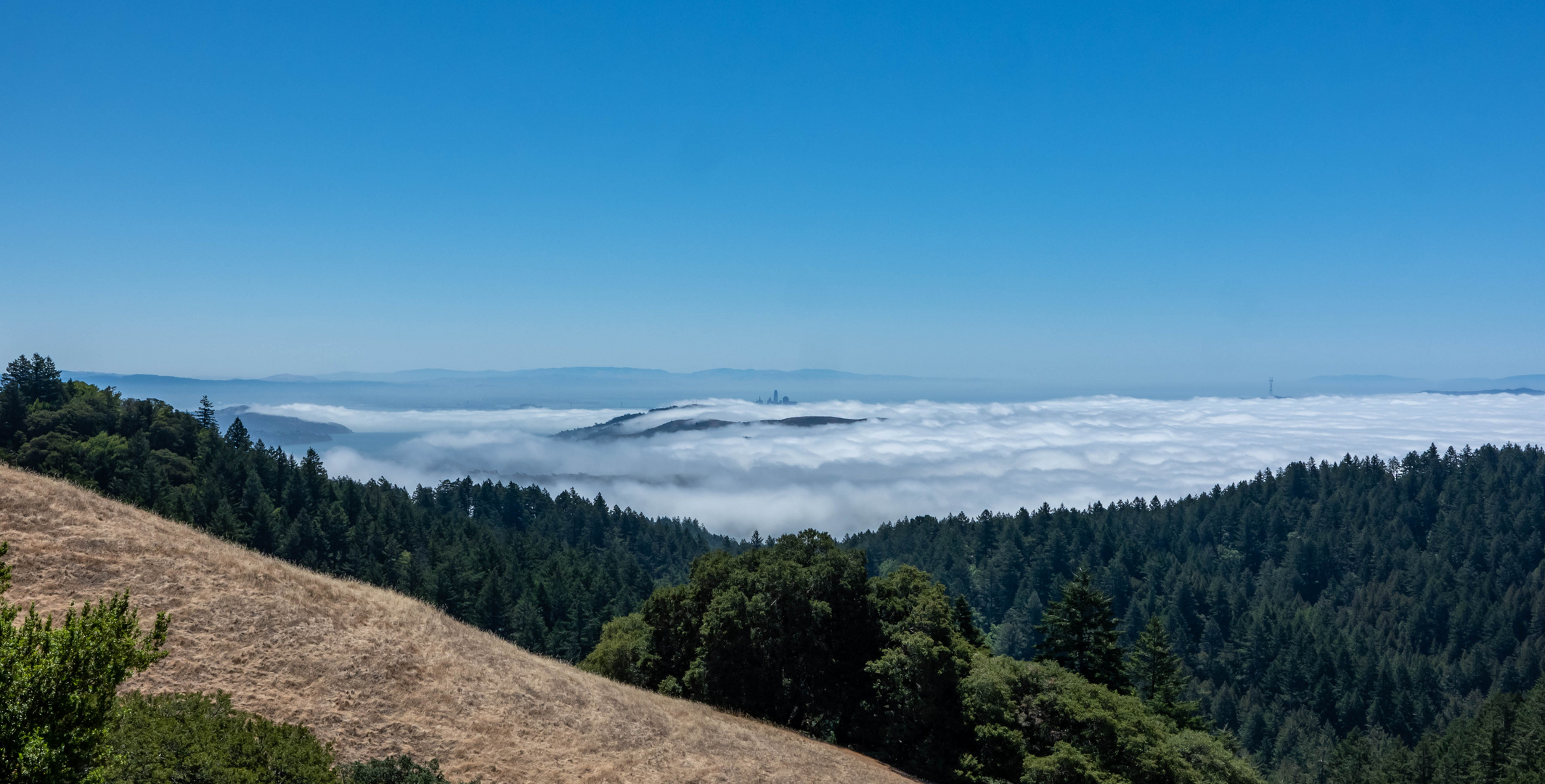 San Francisco in the clouds