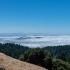 San Francisco in the clouds