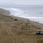 San Francisco Lands End (3)