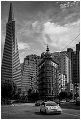 San Francisco N°13