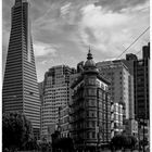 San Francisco N°13