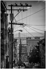 San Francisco N°23