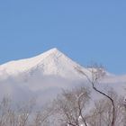 San Francisco Peaks