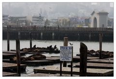 San Francisco - Pier 39