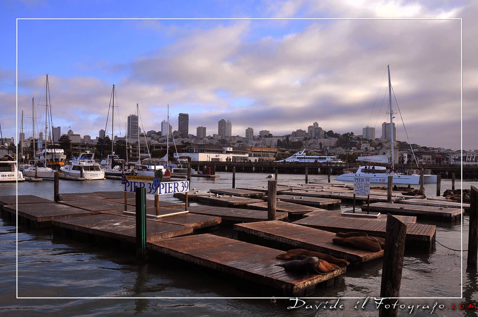 San Francisco Pier 39