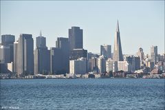 San Francisco Skyline